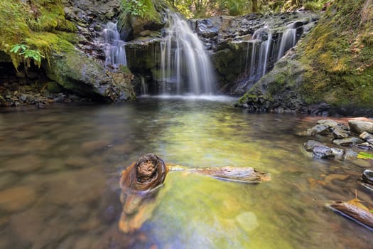 Emerald Falls with Driftwood along Gorton Creek in Columbia River Gorge National Scenic Area Oregon