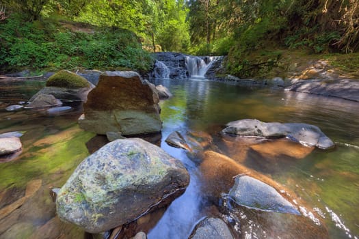 Waterfall at Sweet Creek Fall Trail Complex in Mapleton Oregon