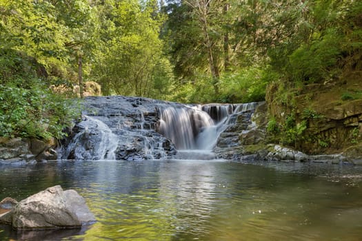 Cascading Waterfall at Aweet Creek Falls Trail Complex in Mapleton Oregon