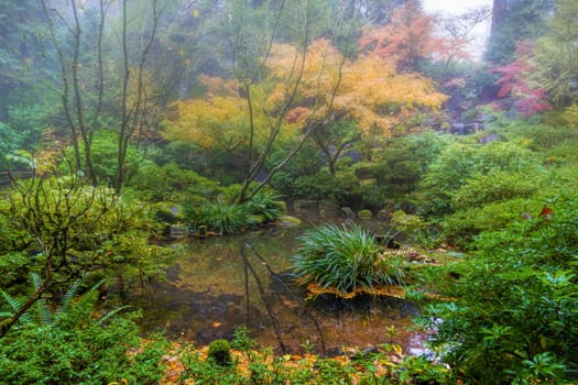 Foggy Morning by the Pond at Portland Japanese Garden in Autumn