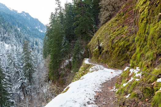 Snow Covered Eagle Creek Forest Hiking Trail at Columbia River Gorge Oregon in Winter Season