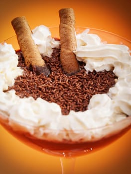 Chocolate cream with vanilla