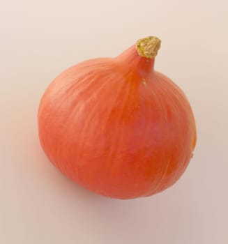 Pumpkin