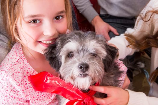 Little Girl with New Puppy. She is smiling at the Camera and the Small Grey Dog has a Ribbon around its Neck.