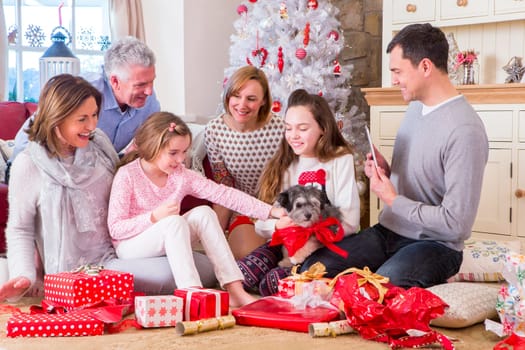 Dad takes picture of Three Generation Family at Christmas time. They are all smiling and looking at the new puppy.