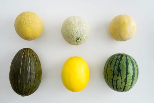 Collection of different melon varieties on one table