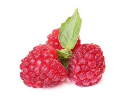 Raspberries on white