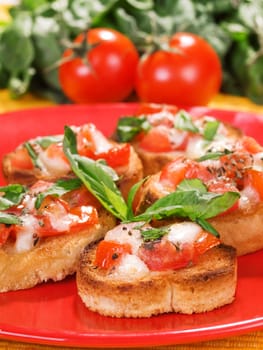 Italian bruschetta with tomato, mozzarella and basil