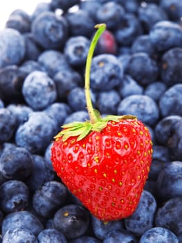 Strawberry on blueberries background