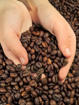 Coffee beans