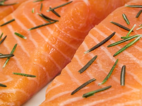 Salmon Steak (unprepared)