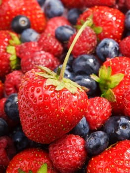 Berries, close up