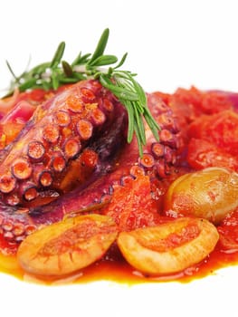 Octopus with tomato sauce and olives, one portion, close up