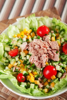 Green salad leafs with cucumber, yellow pepper, celery stalks, cherry tomatoes and tuna fish