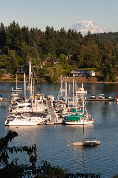 Sail and Power Boats wait for the chance to move under the watchful eye of Mount Rainier