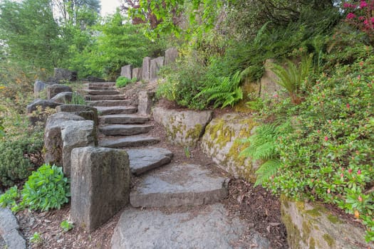 Garden Stone Stair Steps Hardscape with Natural Rocks with Plants Trees Ferns Landscaping