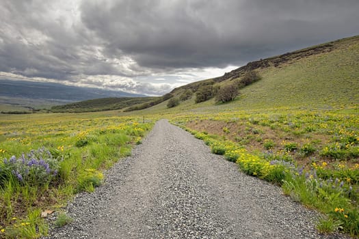 Gravel Road Hiking Trail on Columbia Hills State Park in Washington State