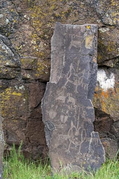 Native Anerican Indians Wildlife Birds and Animals Petrogylphs on Rock Artwork at Horsethief Lake Washington