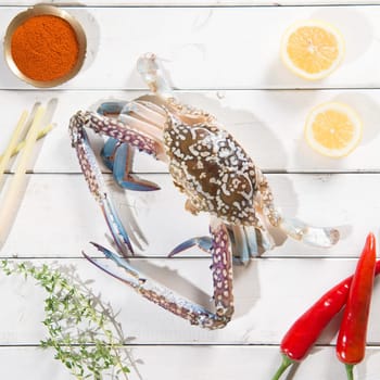 Overhead view raw blue crab and ingredients ready to cook, on bright wooden background.