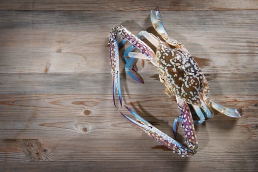 Top view raw blue crab on wood background.
