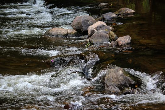 Stream