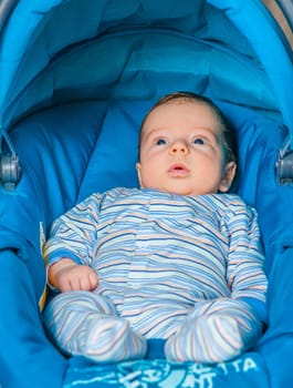 Portrait of a 2 months old baby boy sitting in a safety seat.