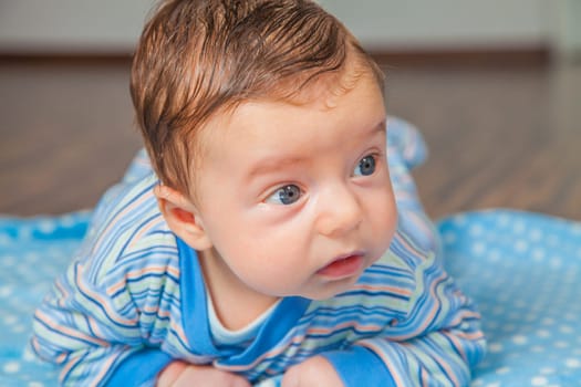 Portrait of a 2 months old baby boy at his home.