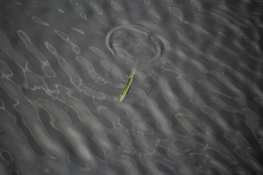 Stream