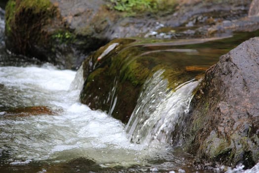 Stream