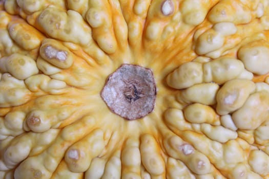 Pumpkin