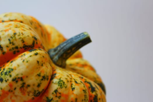Pumpkin