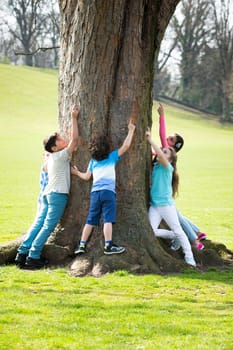 A small group of children pointing up a tree as they all stand around it. Just the large trunk of the tree can be seen.