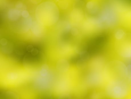 Green natural background of blurred plants with sunlight