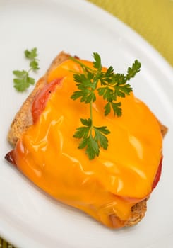 Toast with tomatoes with cheese gratine