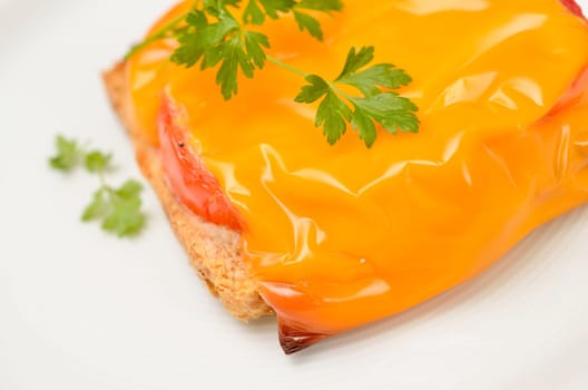 Toast with tomatoes and cheese