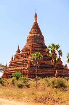 Ancient pagodas in Bagan, palm trees in front