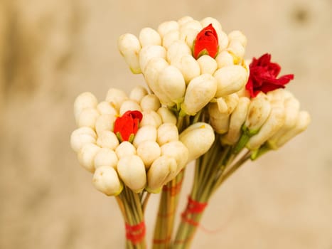 Jasmine blossom are popular in Tunisia