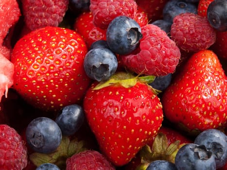 Berries, close up