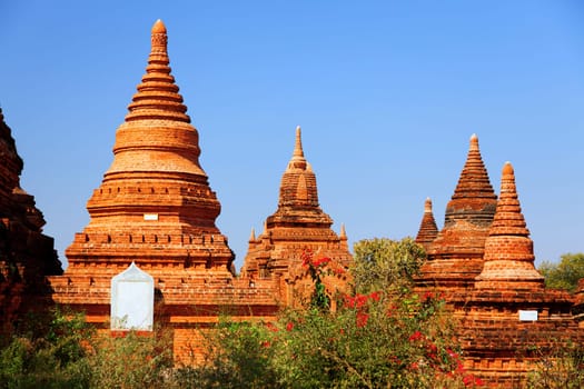 Ancient pagodas in Bagan, blue sky in background