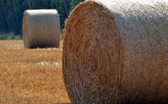 Straw rolls