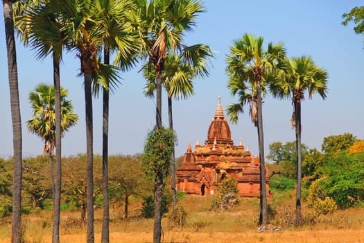 Ancient pagodas in Bagan, palm trees in front