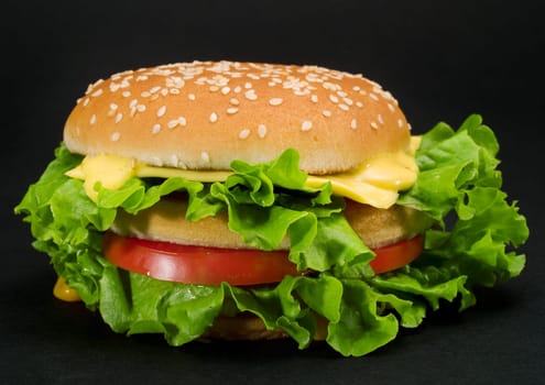 Hamburger with steak, cheese, tomatoes and salad