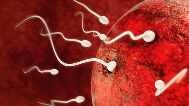 Sperm try to penetrate an egg