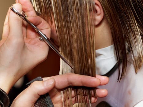 Cutting hair at the hair studio