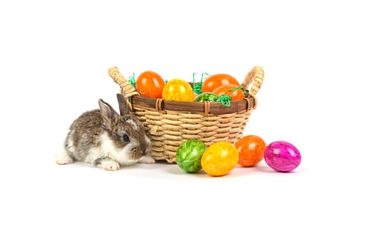 Easter bunny
