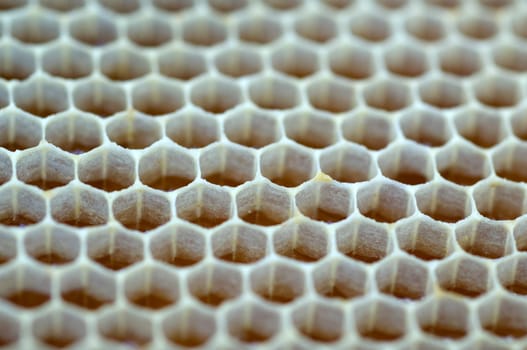 Honigwaben, waben, Bienenwachs, wachs, Bienenstock