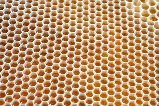 Honigwaben, waben, Bienenwachs, wachs, Bienenstock