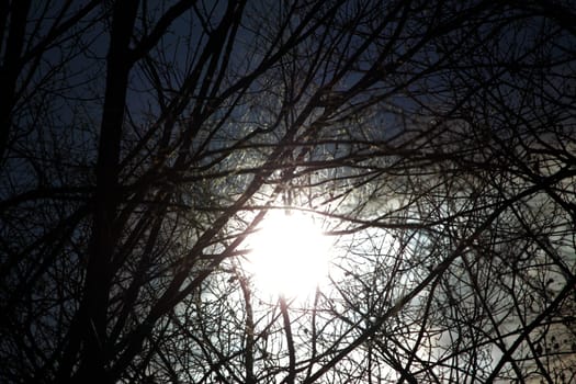 Sun