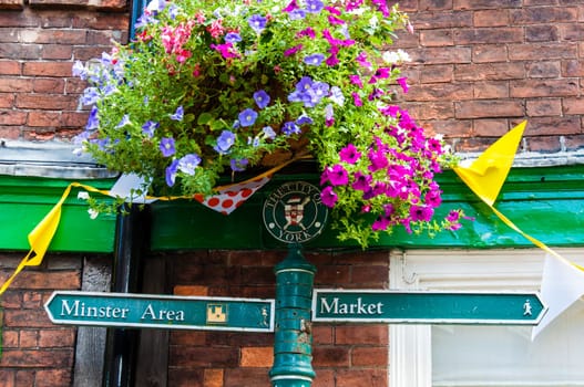 York, United Kingdom - August 9, 2014