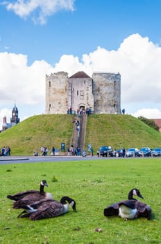 York, United Kingdom - August 9, 2014